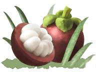 Jugo de Mangostan