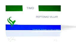 TIMO TIMO